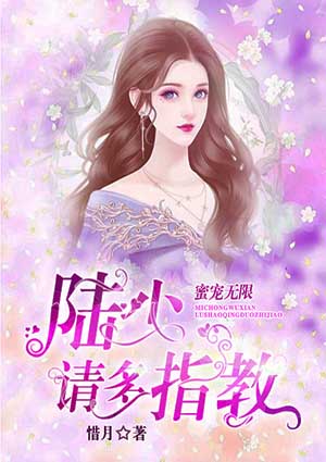 蜜宠无限：陆少请多指教
