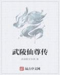武陵仙尊传