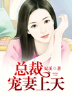 总裁宠妻上天