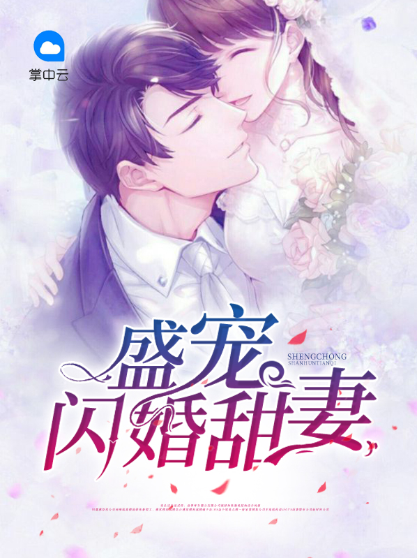 盛宠闪婚甜妻夜岂陌