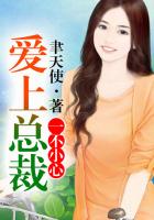 一不小心爱上总裁