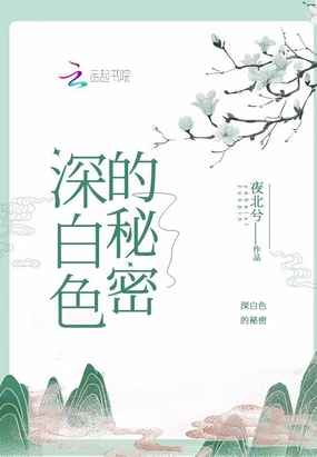 秘密隐藏于深白色