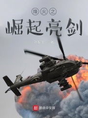 烽火之崛起亮剑