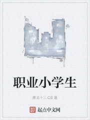 职业小学生