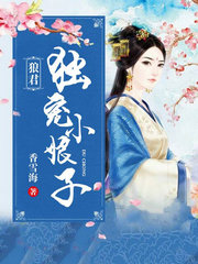 贵妃她来自民间