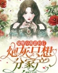觉醒自我意识后，炮灰只想分家产
