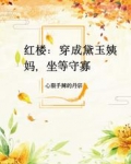 红楼：穿成黛玉姨妈，坐等守寡
