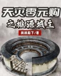 天灾零元购之桃源城主免