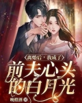 离婚后，我成了前夫心头的白月光