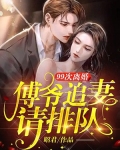 99次离婚：傅爷追妻请排队