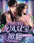 离婚后，她靠龙凤双宝掀翻叶氏财团