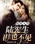 情深入骨：陆先生，再也不见