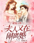 甜宠入怀，夫人又在闹离婚