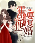 怀崽后，霍总他主动撩上门要复婚