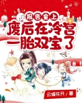 报告皇上废后在冷宫一胎双宝了