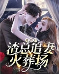 离婚后，渣总追妻火葬场