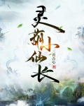 灵葫小仙长