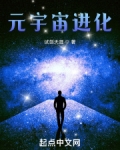 元宇宙进化