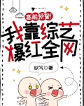 高能预警！我靠综艺爆红全网