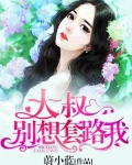 大叔别想套路我