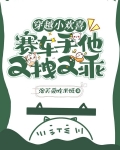 穿越小欢喜，赛车手他又拽又乖