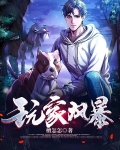 玩家风暴