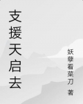 无心为什么要去天启