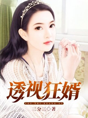 透视狂婿